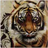 Leinwandbild erwachsener großer tiger 30x30 cm Feeby braun Produktbild-Vorschau 3