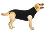 Suitical Recovery Suit® Dog schwarz, Größe: M Produktbild-Vorschau 9