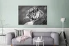 MuchoWow® Poster Tiger - Wild - Schwarz - Weiß 120x80 cm - Produktbild-Vorschau 5