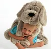 GIPSY Dog Flatoutou 50 cm Grau Voir les images du produit 1