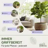 NICEGARDEN Edelstahl Blumengießkanne 1L | Design Gießkanne Produktbild-Vorschau 4