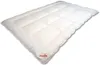 Paradies Winterbettdecke Nima Bio winterwarm Größe 155x220 Produktbild-Vorschau 1