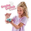 Rostoucí krystaly a drahokamy Náhled obrázku produktu 3