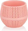Lot de 6 pots de fleurs pour cactus de différentes Voir les images du produit 7