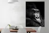 MuchoWow® Poster Gorilla - Affe - Schwarz - Weiß - Porträt Produktbild-Vorschau 2