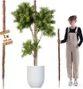 KADAX Kokosstab 150cm für Zimmerpflanzen, Pflanzstab aus Produktbild-Vorschau 1