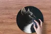 MuchoWow® Mauspad Mousepad Hauskatze 40x40 cm - Mousepads - Produktbild-Vorschau 3