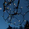 Fairy lights are wrapped around tree branches against a dark blue twilight sky. Podgląd zdjęcia produktu