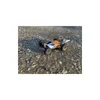 DF-Models Z06 Evolution, Buggy, 1:14, 1500 mAh, 1 kg Produktbild-Vorschau 8