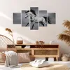 Bild auf Leinwand - Leinwandbild - Pferd Tier Natur - Produktbild-Vorschau 7