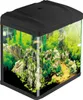 A small aquarium with rocks and plants. Náhled obrázku produktu