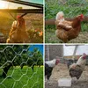A collage of four images showing chickens and chicken wire fencing in different outdoor settings. Produktbild-Vorschau