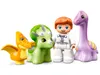 LEGO DUPLO 10938 Pouponnière Dinosauria (27 pièces) Voir les images du produit 14