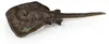 Plüsch Ray 50 cm umweltfreundlich Produktbild-Vorschau 4