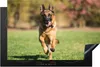 KitchenYeah© Herdabdeckplatte Ein Deutscher Schäferhund Produktbild-Vorschau 1