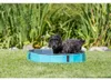 TRIXIE Hundepool - ø 70 × 12 cm Produktbild-Vorschau 2