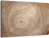Glas Magnettafel Baumstamm Natur Baumkern 60x40cm Glasbild Produktbild-Vorschau 1