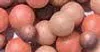 AVON Mittleres Perlenrouge Produktbild-Vorschau 3
