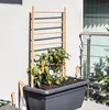 Mříž na popínavé rostliny dřevěný žebřík FloraSelf 60 x 120 Náhled obrázku produktu 1