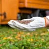 FUXTEC jesienny nawóz do trawników FX-RDH20 | nawóz Podgląd zdjęcia produktu 5