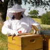 5 Stück Bienen Fluglochverkleinerer mit Scharnieren im Set Produktbild-Vorschau 8