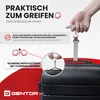 Digitale Kofferwaage 50 kg – Gepäckwaage Hängewaage mit Produktbild-Vorschau 3