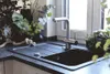 A modern kitchen sink area with a black sink, a chrome faucet, and various plants. Anteprima dell’immagine prodotto