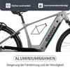 SAXXX Trekking E-Bike 28 Zoll, 250W bürstenloser Produktbild-Vorschau 3