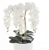 Orchidée artificielle bouquet blanc dans pot de fleurs H Voir les images du produit 2