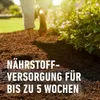 COMPO BIO Universal-Erde torffrei 7,5 l 4008398112240 214023 11224 blumenerde pflanzerde Produktbild-Vorschau
