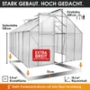 BRAST Gewächshaus Aluminium mit Fundament | 380x250x205cm | Produktbild-Vorschau 5
