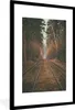 MuchoWow® Gerahmtes Poster Bahnstrecke - Weg - Wald - Baum Produktbild-Vorschau 1