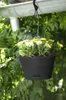 Green Basic Hängeampel lebhaft schwarz, Ø 28 cm Produktbild-Vorschau 7