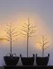 Three decorative LED trees in black planters against a light background. Produktbild-Vorschau
