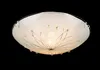 A close-up studio shot of a white ceiling light fixture with decorative elements. Anteprima dell’immagine prodotto