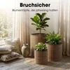 Mica Decorations Cesena Pot de fleurs – Lot de 3 – Pot pour Voir les images du produit 7