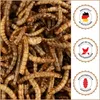 Supravit Mehlwürmer getrocknet 10kg | getrocknete Produktbild-Vorschau 6