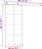 vidaXL Schiebetür mit Beschlag 90x205 cm ESG-Glas & Produktbild-Vorschau 11