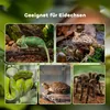 Terrarium dla gadów D40-015V02, pojemnik na pokarm dla Podgląd zdjęcia produktu 12
