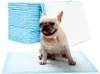 100 kusů Puppy Pad Puppy Training Mat Pet Plenka Mat pro Náhled obrázku produktu 1