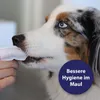 Canosept Zahnpflege Pads für Hunde 50 Stück Anteprima dell’immagine prodotto 2