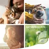 A collage of four images: a person holding a cat, a person petting a dog, a person with a horse, and a nature-themed marketing image with text. Produktbild-Vorschau