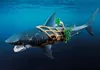 PLAYMOBIL Piraten 71793: Piraat En Gigantische Haai Productafbeelding-voorbeeld 6