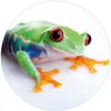 Wallario Premium Glasbild, freischwebende Optik, kräftige Produktbild-Vorschau 1