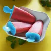 Eccellente casalinghi stampi per ghiaccio 6 Ice Pop Makers Anteprima dell’immagine prodotto 4