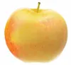 Malus Domestica James Grieve 130 cm / 5 litrů Jabloň v Náhled obrázku produktu 1
