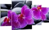 Bild auf Leinwand - Leinwandbild - Blumen Steine Violett Produktbild-Vorschau 1