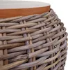 Tavolino HWC-M30, tavolino in rattan tavolino da fiori Anteprima dell’immagine prodotto 5