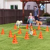 PawHut Agility Set Dogs 6-częściowy sprzęt do agility do Podgląd zdjęcia produktu 2