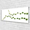 Acrylglasbilder 125x50 Wandbild Druck Zierpflanze Pflanzen Produktbild-Vorschau 2